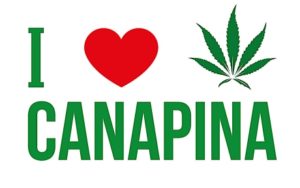 Il logo della manifestazione I love Canapina 